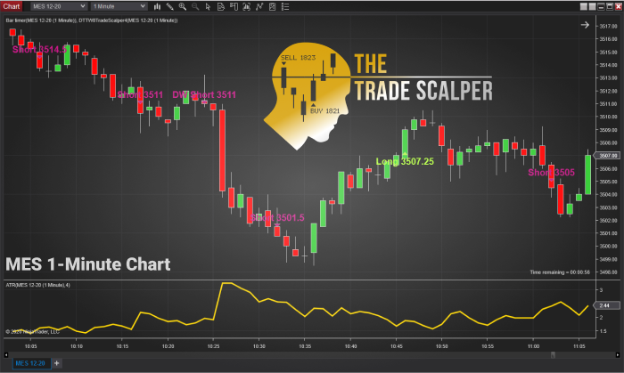 Micro E-mini Futures With Trade Scalper