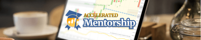 accelerated mentorship post